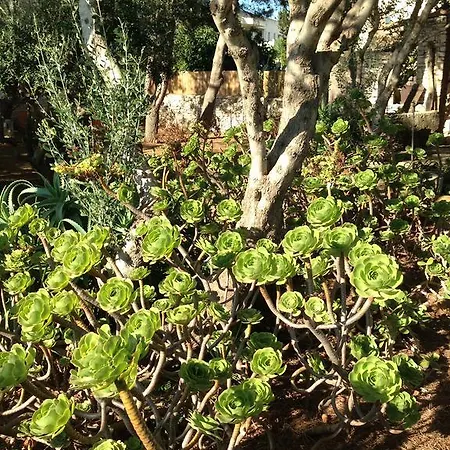 Tina Ai Piedi Del Faro Di Leuca Вилла *